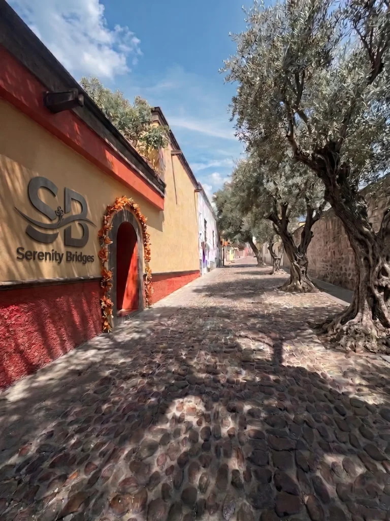 Cobblestone pathway next to a building with yellow and red walls featuring the Serenity Bridges logo and an arched doorway decorated with a garland under a blue sky.